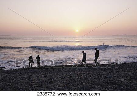 Stock Image - People On Pebble Beach At Sunset; Druidston Beach, Pembrokeshire Coast Path, Wales, United Kingdom. Fotosearch