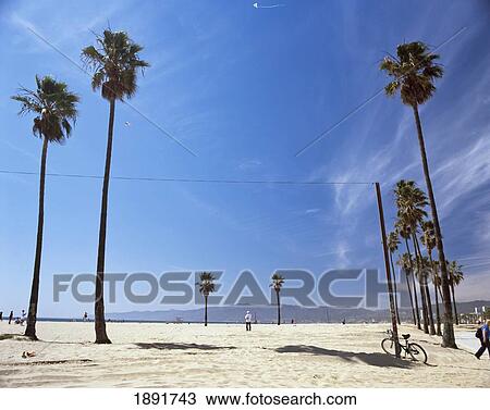 People On Venice Beach View Large Photo Image Stock Image - People On Venice Beach. Fotosearch