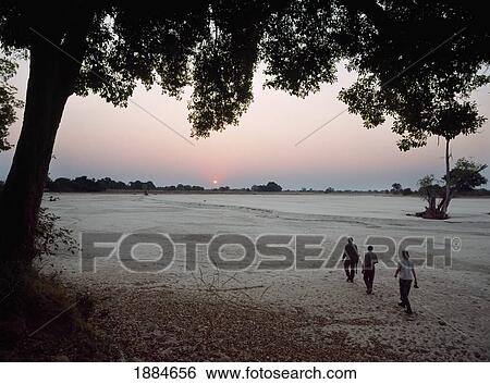 People On Walking Safari Across Dry River Bed At Dusk View Large Photo Image Stock Photograph - People On Walking Safari Across Dry River Bed At Dusk. Fotosearch
