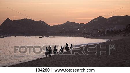 People Riding Horses On Beach At Dusk; Los Cabos, Mexico View Large Photo Image Stock Image - People Riding Horses On Beach At Dusk; Los Cabos, Mexico. Fotosearch