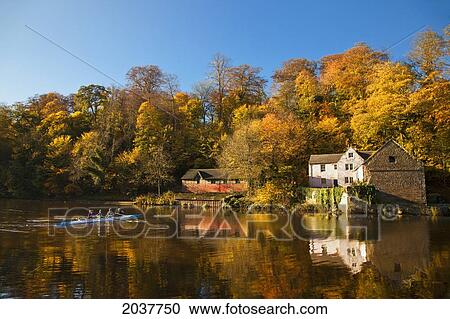 People Rowing A Boat Along The Shoreline Of A River In Autumn; Durham England View Large Photo Image Stock Image - People Rowing A Boat Along The Shoreline Of A River In Autumn; Durham England. Fotosearch