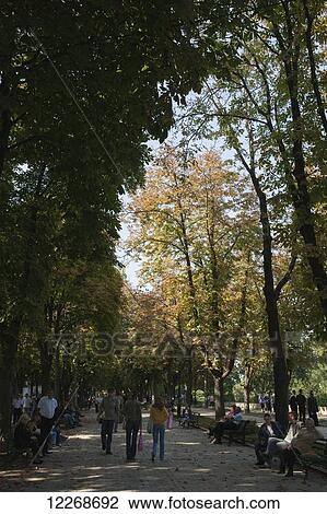 People strolling and sitting on benches along the tree-lined promenade of Prymorsky Bul; Odessa, Ukraine View Large Photo Image Stock Image - People strolling and sitting on benches along the tree-lined promenade of Prymorsky Bul; Odessa, Ukraine. Fotosearch