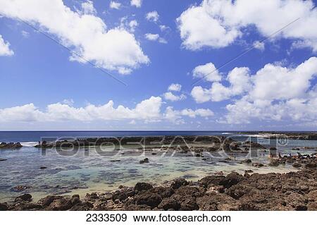 Stock Photo - People swimming around the rocks along the rugged coast; Honolulu, Oahu, Hawaii, United States of America. Fotosearch