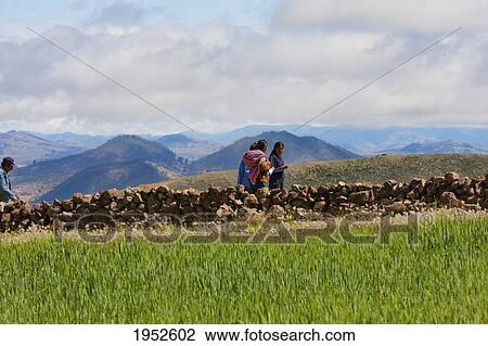People walking by a field, Jatun Yampara Indigenous Community, Chuquisaca Department, Bolivia View Large Photo Image Stock Image - People walking by a field, Jatun Yampara Indigenous Community, Chuquisaca Department, Bolivia. Fotosearch