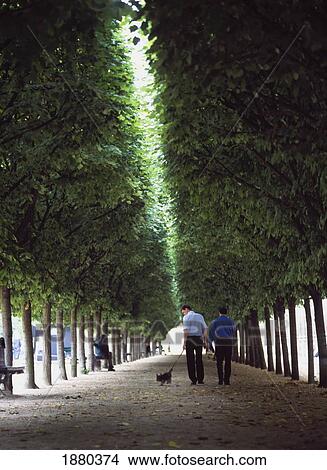 Picture - People Walking Dog In The Gardens Of The Palais Royale.. Fotosearch