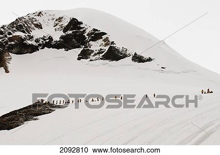 People Walking On The Ice Beside A Mountain; Antarctica View Large Photo Image Stock Image - People Walking On The Ice Beside A Mountain; Antarctica. Fotosearch