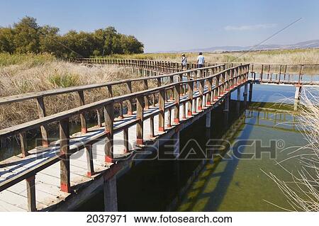 Stock Image - People Walking On The Wooden Walkway Through Tablas De Daimiel National Park; Ciudad Real Province Spain. Fotosearch