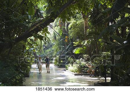 People Walking Through An Indoor Arboretum View Large Photo Image Stock Photograph - People Walking Through An Indoor Arboretum. Fotosearch