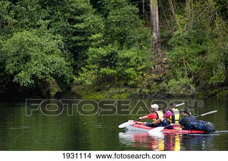 Picture - People With Kayak Near Redondela, Ria De Vigo, Pontevedra, Galicia, Spain. Fotosearch