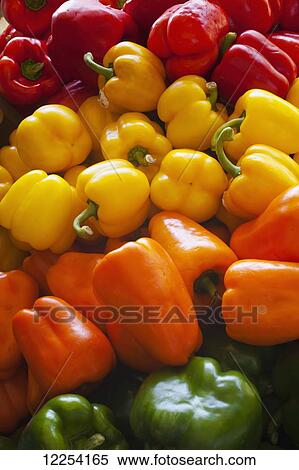 Peppers for sale at a roadside stand; Dunham, Quebec, Canada View Large Photo Image Stock Photography - Peppers for sale at a roadside stand; Dunham, Quebec, Canada. Fotosearch