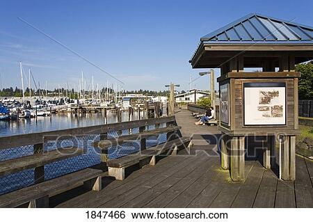 Stock Photograph - Percival Landing Park; Olympia, Washington, Usa. Fotosearch