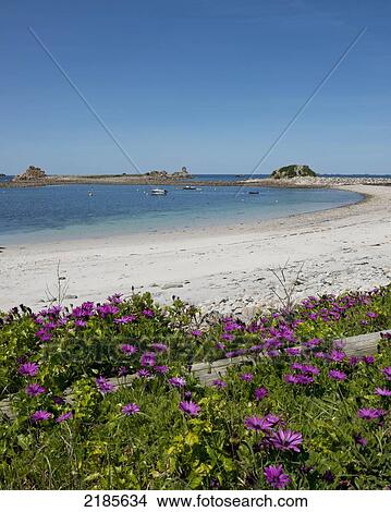 Periglis Cove, St Agnes, Isles Of Scilly, Cornwall, Uk, Europe View Large Photo Image Picture - Periglis Cove, St Agnes, Isles Of Scilly, Cornwall, Uk, Europe. Fotosearch