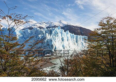 Perito Moreno Glacier In Autumn; Patagonia Argentina View Large Photo Image Stock Image - Perito Moreno Glacier In Autumn; Patagonia Argentina. Fotosearch