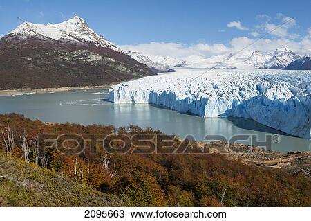 Stock Image - Perito Moreno Glacier In Autumn; Patagonia Argentina. Fotosearch