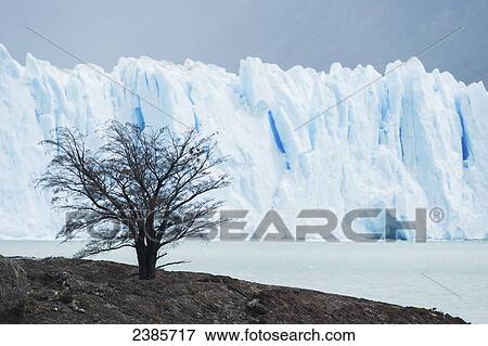 Stock Photo - Perito Moreno Glacier, Los Glaciares National Park; El Calafate, Santa Cruz, Argentina. Fotosearch