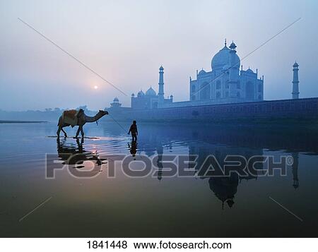 Person And Camel In Front Of Taj Mahal; Agra, India View Large Photo Image Stock Photo - Person And Camel In Front Of Taj Mahal; Agra, India. Fotosearch
