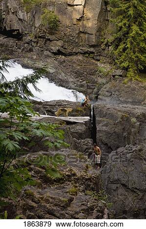 Person By Waterfall, Elk Falls Provincial Park, British Columbia, Canada View Large Photo Image Stock Photo - Person By Waterfall, Elk Falls Provincial Park, British Columbia, Canada. Fotosearch