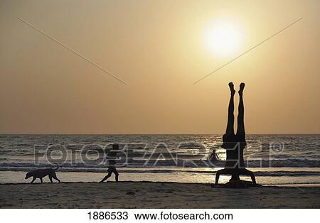 Person Doing Head Stand With Man Running On Beach By Dog View Large Photo Image Stock Image - Person Doing Head Stand With Man Running On Beach By Dog. Fotosearch