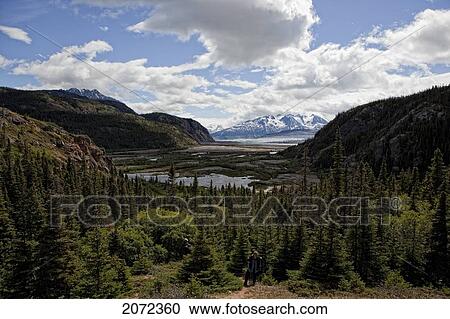 Stock Image - Person Enjoying View Of The Llewellyn Glacier, Atlin Provincial Park, British Columbia, Canada. Fotosearch