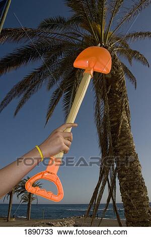 Stock Image - Person Holding Spade Near Palm Tree On Beach. Fotosearch
