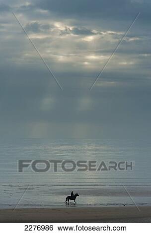 Person riding horse along Camber Sands on cloudy day with rays of sunshine; East Sussex, England View Large Photo Image Stock Photograph - Person riding horse along Camber Sands on cloudy day with rays of sunshine; East Sussex, England. Fotosearch