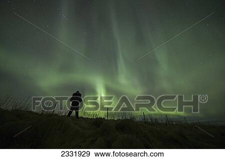 Stock Photo - Person Standing In A Field With Northern Lights Or Aurora Borealis Dancing Overhead; Grundarfjorthur, Snaefellsness, Iceland. Fotosearch