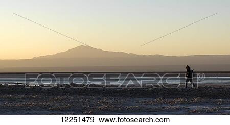 Stock Photo - Person walking along the water's edge of the Chaxa Lagoon in the Flamencos National Reserve at sunset; San Pedro de Atacama, Antofagasta Region, Chile. Fotosearch