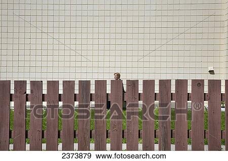 Person Walking By Wooden Fence; Dryden, Ontario, Canada View Large Photo Image Stock Photo - Person Walking By Wooden Fence; Dryden, Ontario, Canada. Fotosearch