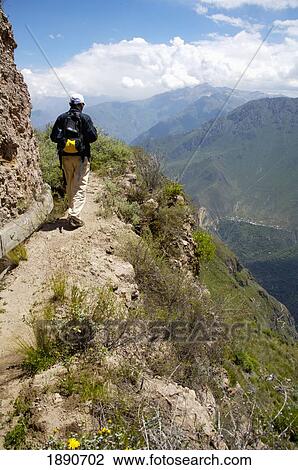 Peru, Man Hiking; Colca Canyon View Large Photo Image Stock Image - Peru, Man Hiking; Colca Canyon. Fotosearch