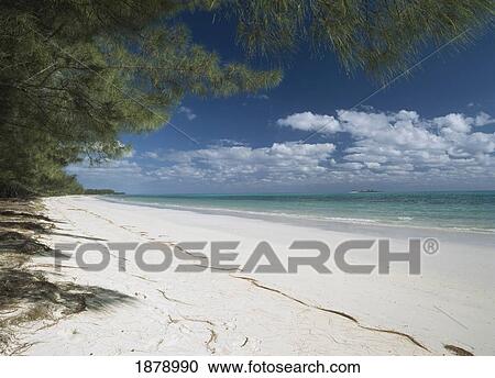 Peterson Cay National Park View Large Photo Image Stock Image - Peterson Cay National Park. Fotosearch