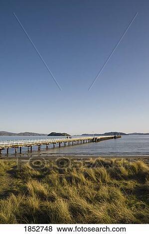 Stock Photo - Petone Wharf; Wellington, New Zealand. Fotosearch