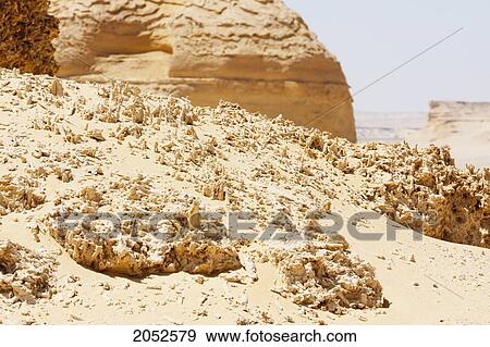 Petrified Mangrove In Wadi Al-Hitan (Whale Valley), El Fayoum, Egypt View Large Photo Image Stock Photo - Petrified Mangrove In Wadi Al-Hitan (Whale Valley), El Fayoum, Egypt. Fotosearch