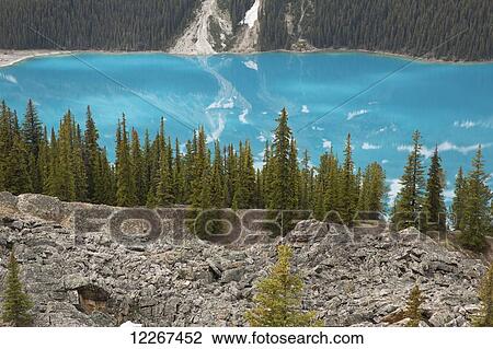 Peyto Lake, Banff National Park; Alberta, Canada View Large Photo Image Stock Image - Peyto Lake, Banff National Park; Alberta, Canada. Fotosearch