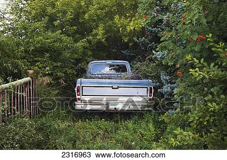 Stock Image - Pickup Truck Parked Under Trees; Saskatchewan Canada. Fotosearch