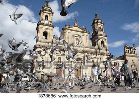 Stock Photograph - Pigeon Flying Away In Front Of Primate Cathedral. Fotosearch