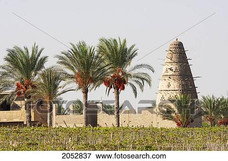 Pigeon House, Wadi El Natrun, Egypt View Large Photo Image Stock Photo - Pigeon House, Wadi El Natrun, Egypt. Fotosearch