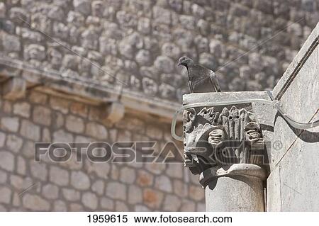 Stock Photography - Pigeon Sitting On Big Onofrio's Fountain, Dubrovnik, Dubrovnik-Neretva, Croatia. Fotosearch
