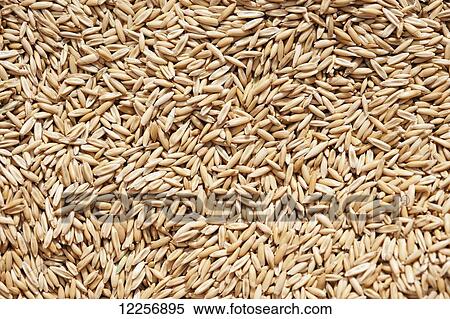 Stock Photography - Pile of harvested barley (Hordeum Vulgare); Palmer, Alaska, United States of America. Fotosearch