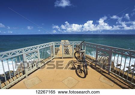 Pineapple drop off Kealia Coastal bike path; Kauai, Hawaii, United States of America View Large Photo Image Stock Photography - Pineapple drop off Kealia Coastal bike path; Kauai, Hawaii, United States of America. Fotosearch