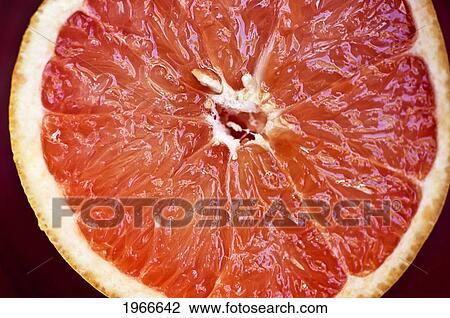 Pink Grapefruit Half, Fresh Cut. View Large Photo Image Stock Image - Pink Grapefruit Half, Fresh Cut.. Fotosearch