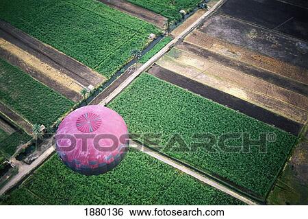 Pink Hot Air Balloon With Fields Below, Aerial View View Large Photo Image Stock Photograph - Pink Hot Air Balloon With Fields Below, Aerial View. Fotosearch