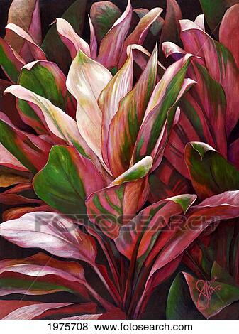 Stock Photo - Pink Ti, Colorful Ti-Leaf Plants (Acrylic Painting).. Fotosearch