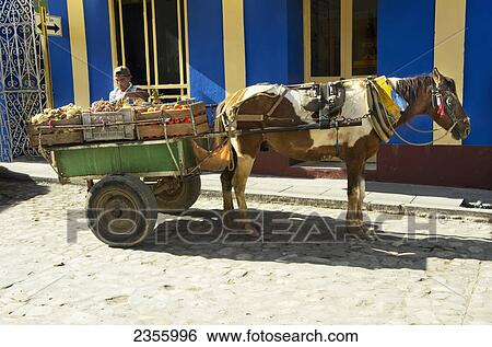 Stock Photograph - Pinto Horse Stands Patiently As Produce Seller Waits For Customers By His Two Wheeled Green Cart; Trinidad, Sancti Spiritus, Cuba. Fotosearch