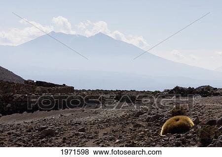 Stock Photo - Pirca (Stone Enclosure), With Olca Volcano In The Background, Puquios, Antofagasta Region, Chile. Fotosearch