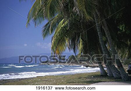 Plage Raymond-Les-Bains View Large Photo Image Stock Photo - Plage Raymond-Les-Bains. Fotosearch