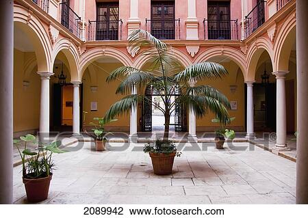 Stock Image - Plants In A Courtyard; Malaga, Andalusia, Spain. Fotosearch