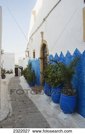 Stock Photo - Plants in row along house wall in Old Town; Rabat, Morocco. Fotosearch