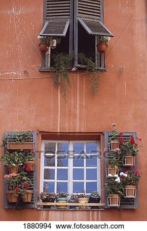 Picture - Plants On Window Sill. Fotosearch