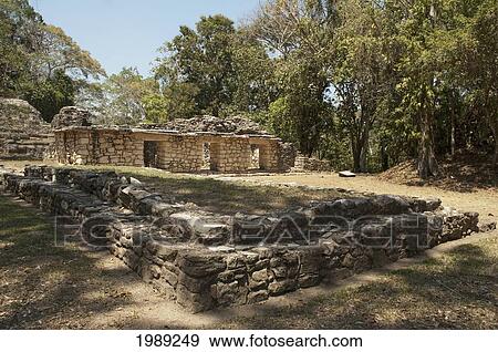 Stock Photo - Platform And Building 16, Yaxchilan, Chiapas, Mexico. Fotosearch