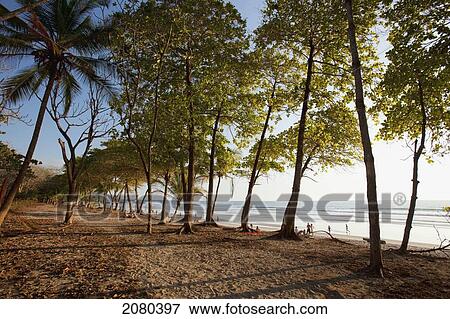Stock Photo - Playa Santa Teresa (Santa Teresa Beach) In Santa Teresa And Mal Pais (Malpais) On The Nicoya Peninsula; Puntarenas Province, Costa Rica. Fotosearch